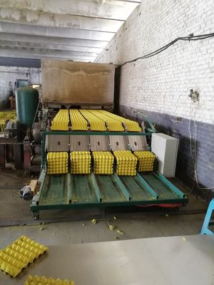 Máquina de bandeja de ovos de última geração para soluções de embalagem sustentáveis