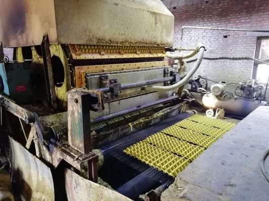 Máquina de bandeja de ovos de última geração para soluções de embalagem sustentáveis